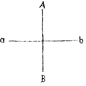 zeitlicher Querschnitt