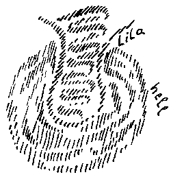 Zeichnung aus GA 207, S. 127 (Tafel 14)