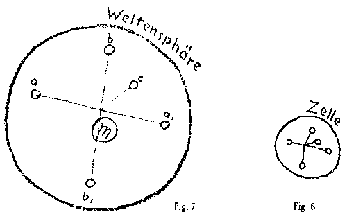 Fig. 7 und Fig. 8 aus GA 323, S. 32